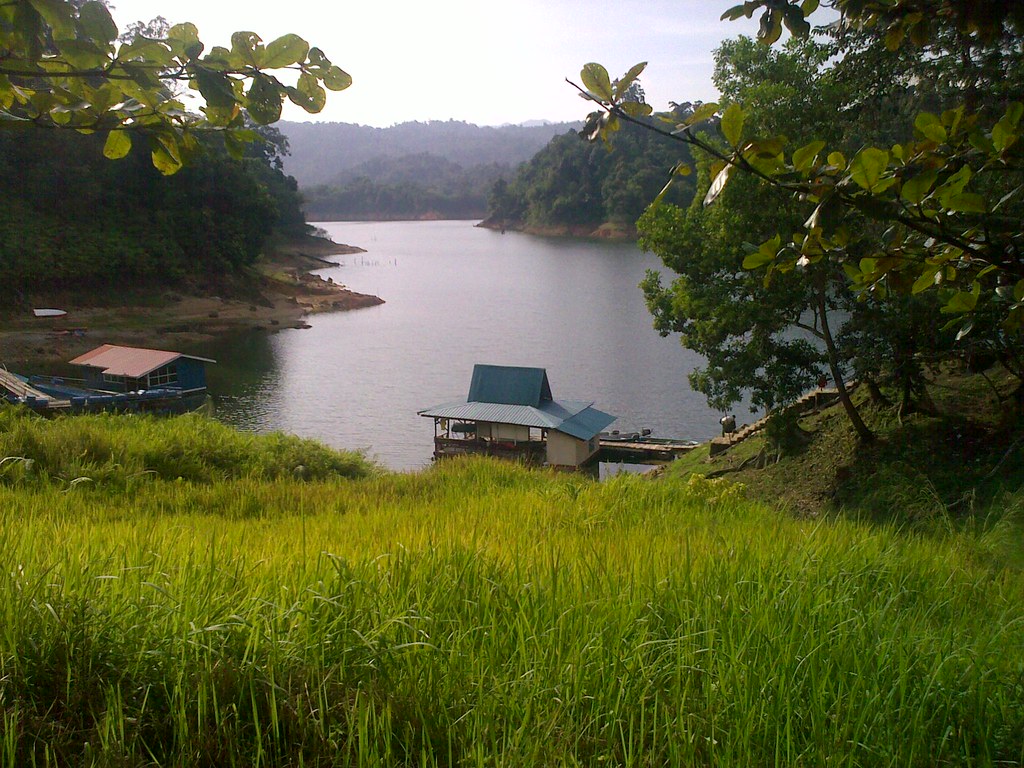 4036323366 8df0403aab b