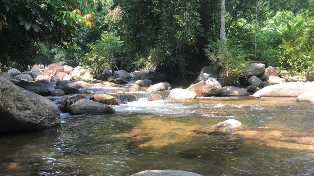 Jelawang Pipe Resort Extreme Park 3